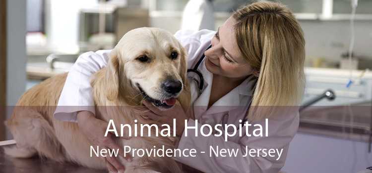 Animal Hospital New Providence - New Jersey