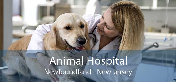 Animal Hospital Newfoundland - New Jersey