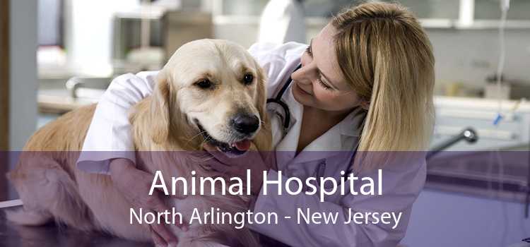 Animal Hospital North Arlington - New Jersey