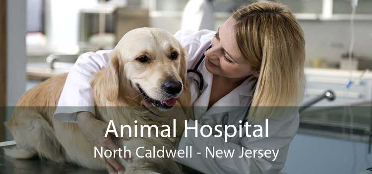 Animal Hospital North Caldwell - New Jersey