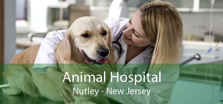Animal Hospital Nutley - New Jersey