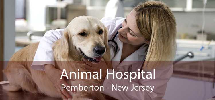 Animal Hospital Pemberton - New Jersey