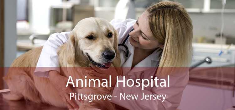 Animal Hospital Pittsgrove - New Jersey