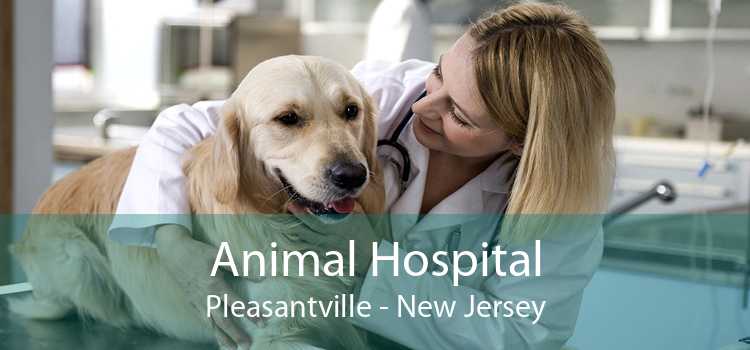 Animal Hospital Pleasantville - New Jersey