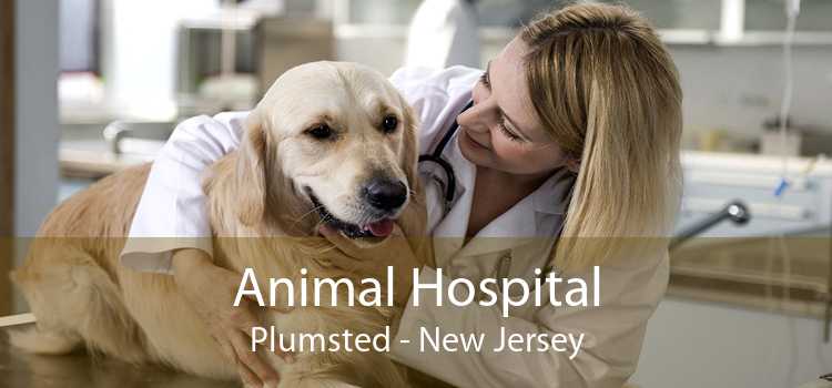 Animal Hospital Plumsted - New Jersey