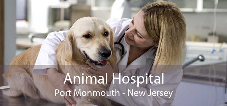 Animal Hospital Port Monmouth - New Jersey