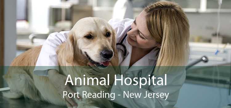 Animal Hospital Port Reading - New Jersey