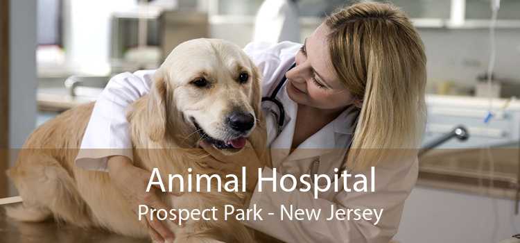 Animal Hospital Prospect Park - New Jersey