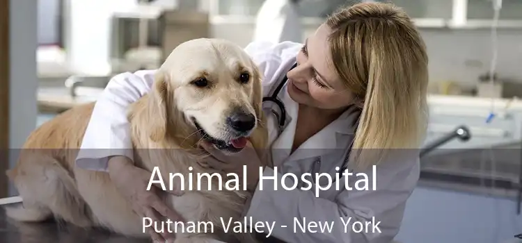 Animal Hospital Putnam Valley - New York
