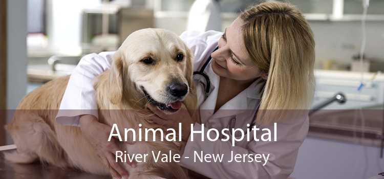 Animal Hospital River Vale - New Jersey