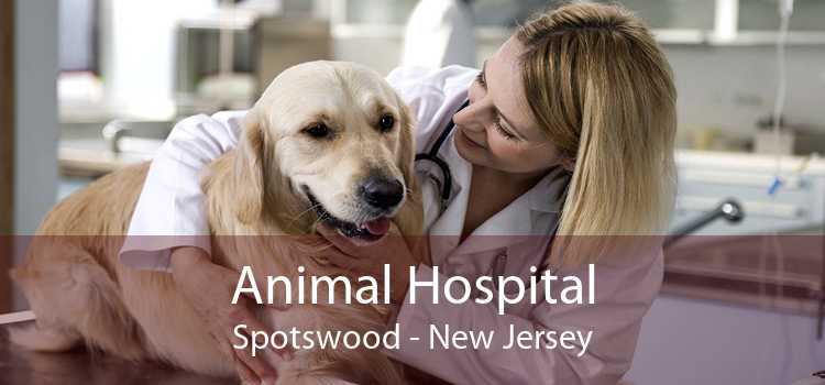 Animal Hospital Spotswood - New Jersey