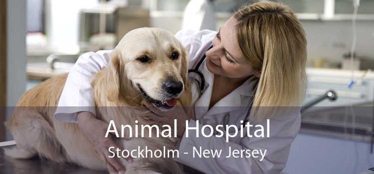 animal hospital stockholm new jersey