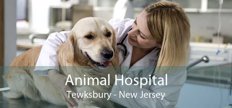 Animal Hospital Tewksbury - New Jersey