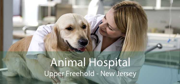 Animal Hospital Upper Freehold - New Jersey