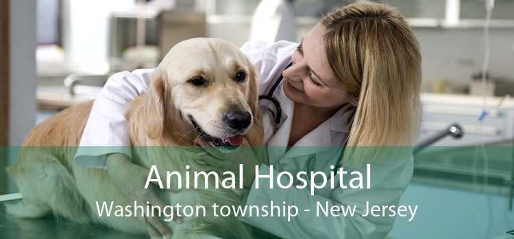 Animal Hospital Washington township - New Jersey