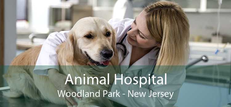 Animal Hospital Woodland Park - New Jersey
