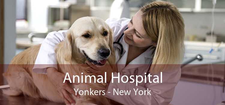 Animal Hospital Yonkers - New York