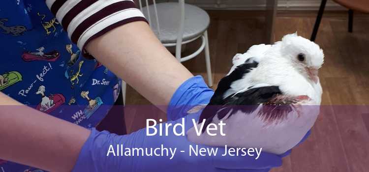 Bird Vet Allamuchy - New Jersey