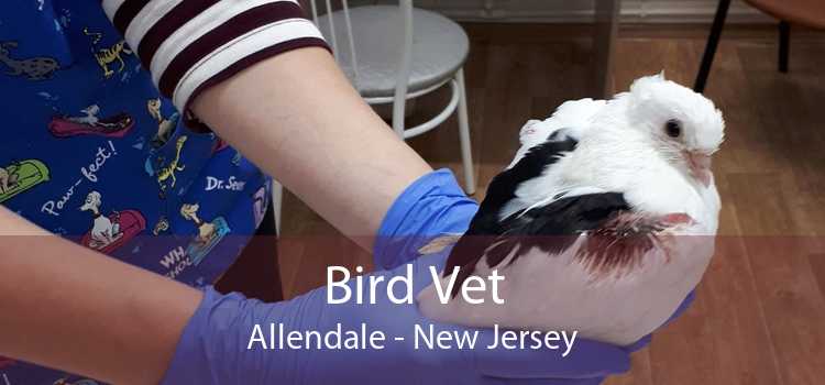 Bird Vet Allendale - New Jersey