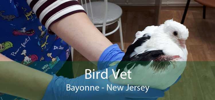Bird Vet Bayonne - New Jersey