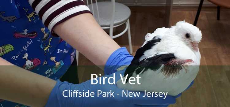 Bird Vet Cliffside Park - New Jersey