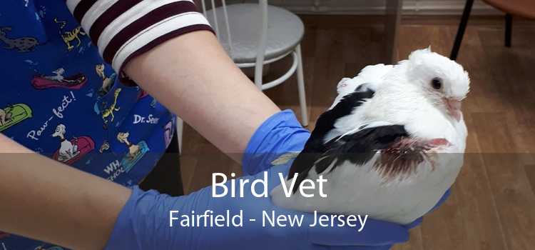 Bird Vet Fairfield - New Jersey