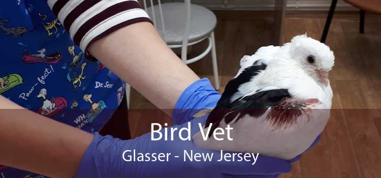 Bird Vet Glasser - New Jersey