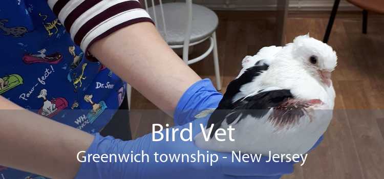 Bird Vet Greenwich township - New Jersey