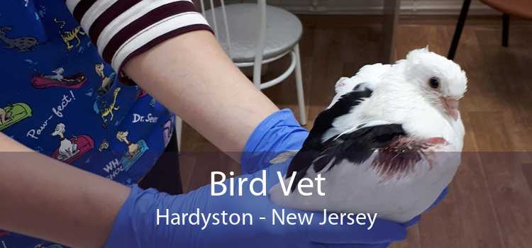 Bird Vet Hardyston - New Jersey