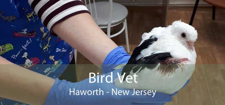 Bird Vet Haworth - New Jersey