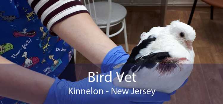 Bird Vet Kinnelon - New Jersey