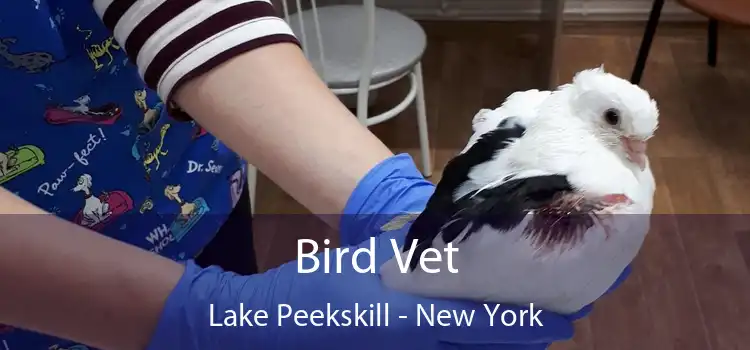 Bird Vet Lake Peekskill - New York