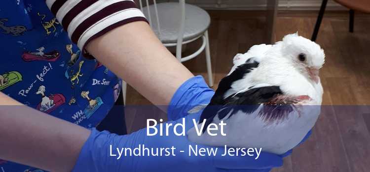 Bird Vet Lyndhurst - New Jersey