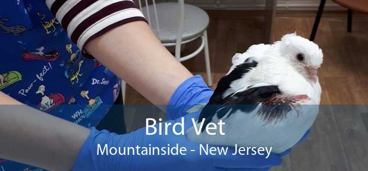 Bird Vet Mountainside - New Jersey