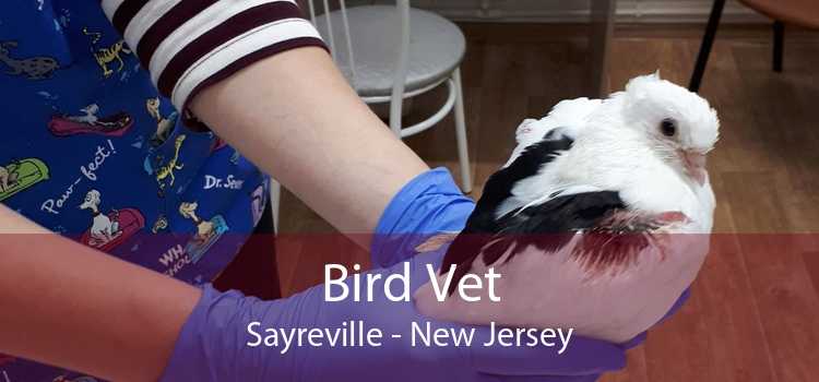 Bird Vet Sayreville - New Jersey