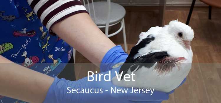 Bird Vet Secaucus - New Jersey