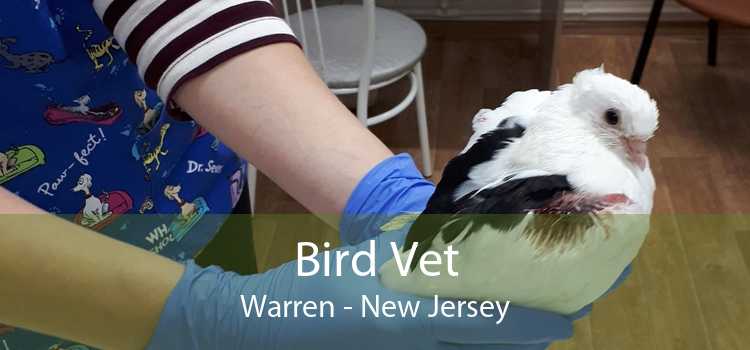 Bird Vet Warren - New Jersey
