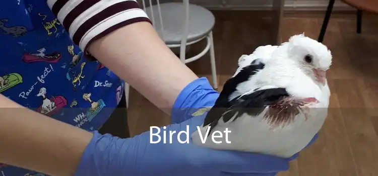 Bird Vet