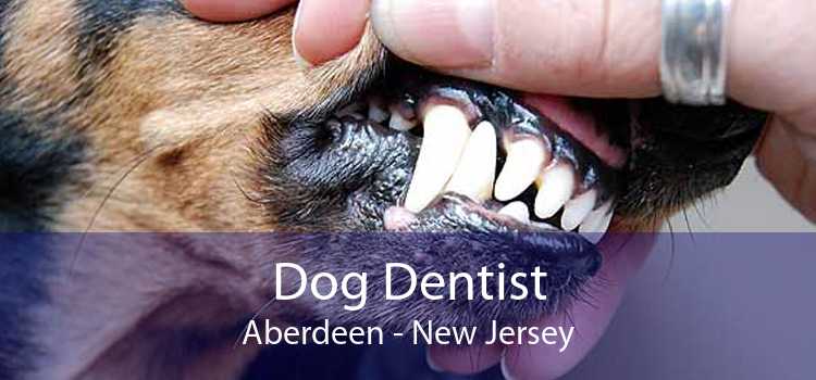 Dog Dentist Aberdeen - New Jersey