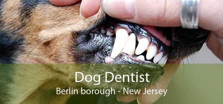 Dog Dentist Berlin borough - New Jersey