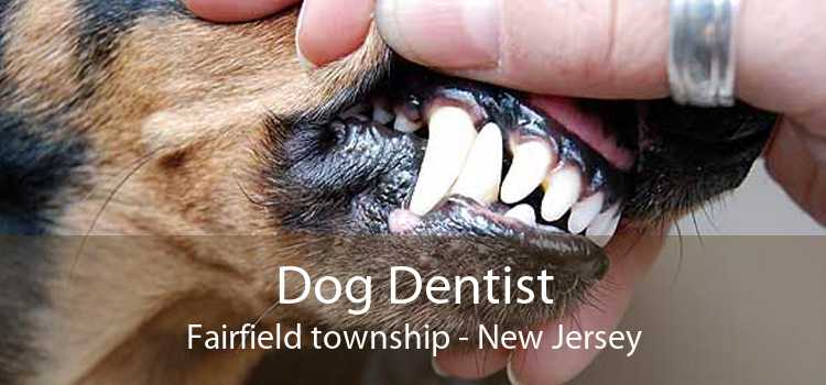 Dog Dentist Fairfield township - New Jersey