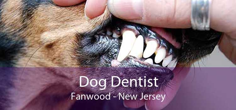 Dog Dentist Fanwood - New Jersey