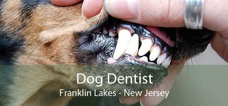 Dog Dentist Franklin Lakes - New Jersey