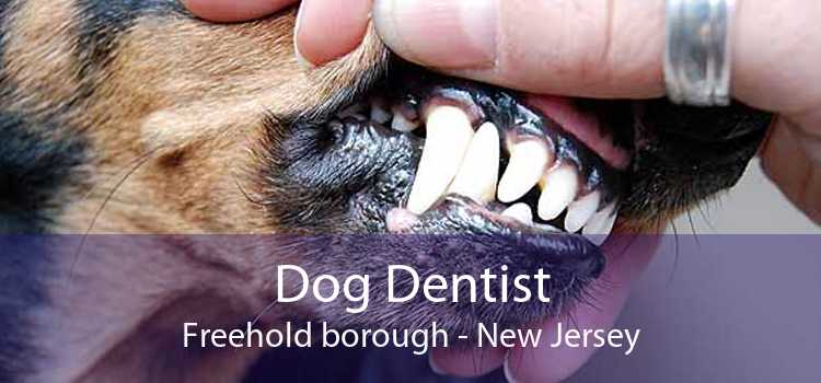Dog Dentist Freehold borough - New Jersey