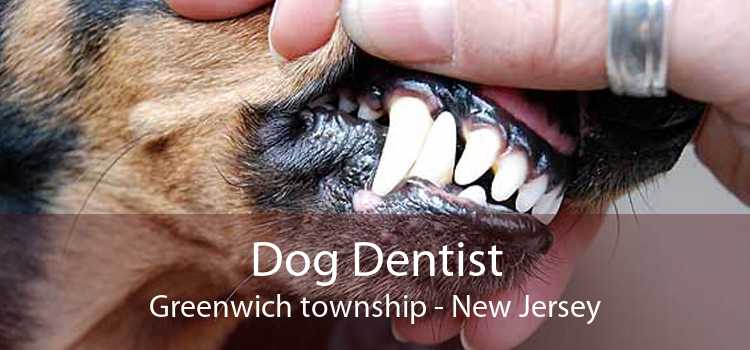 Dog Dentist Greenwich township - New Jersey