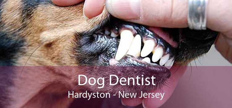 Dog Dentist Hardyston - New Jersey