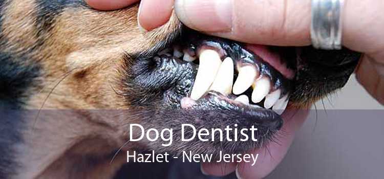Dog Dentist Hazlet - New Jersey