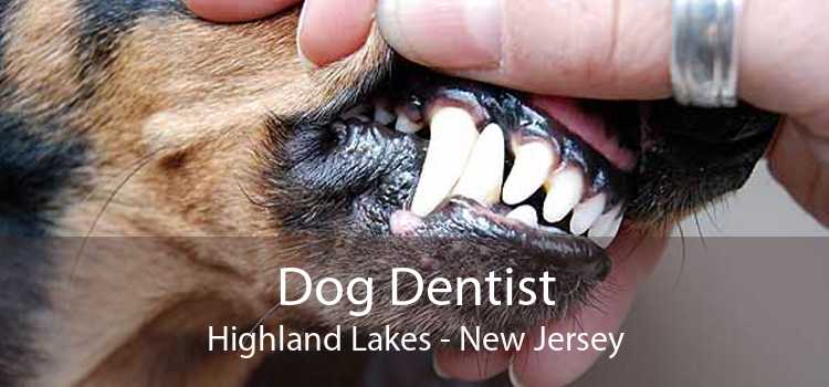 Dog Dentist Highland Lakes - New Jersey