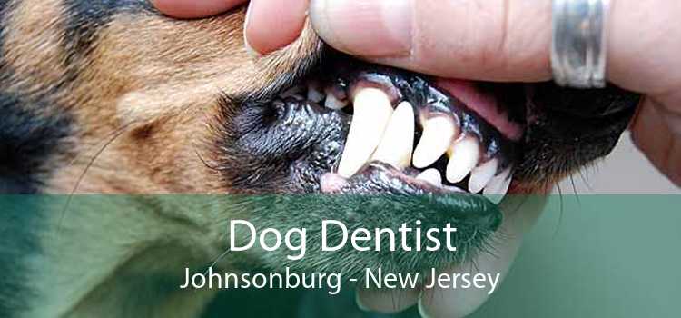Dog Dentist Johnsonburg - New Jersey