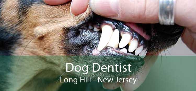 Dog Dentist Long Hill - New Jersey